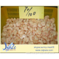 sea fishing red shrimp 10/30 30/50 50/70 70/100